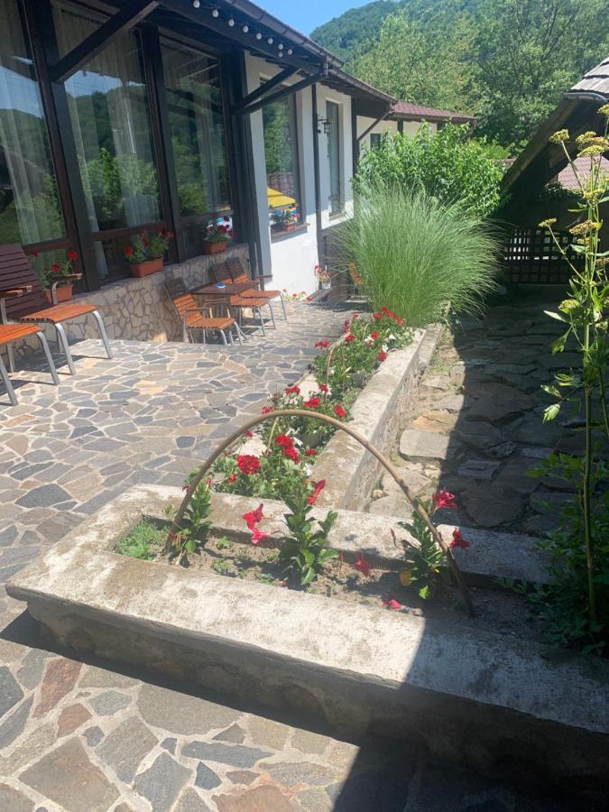 No Comment Rustic Hotel Curtea De Arges Exterior photo