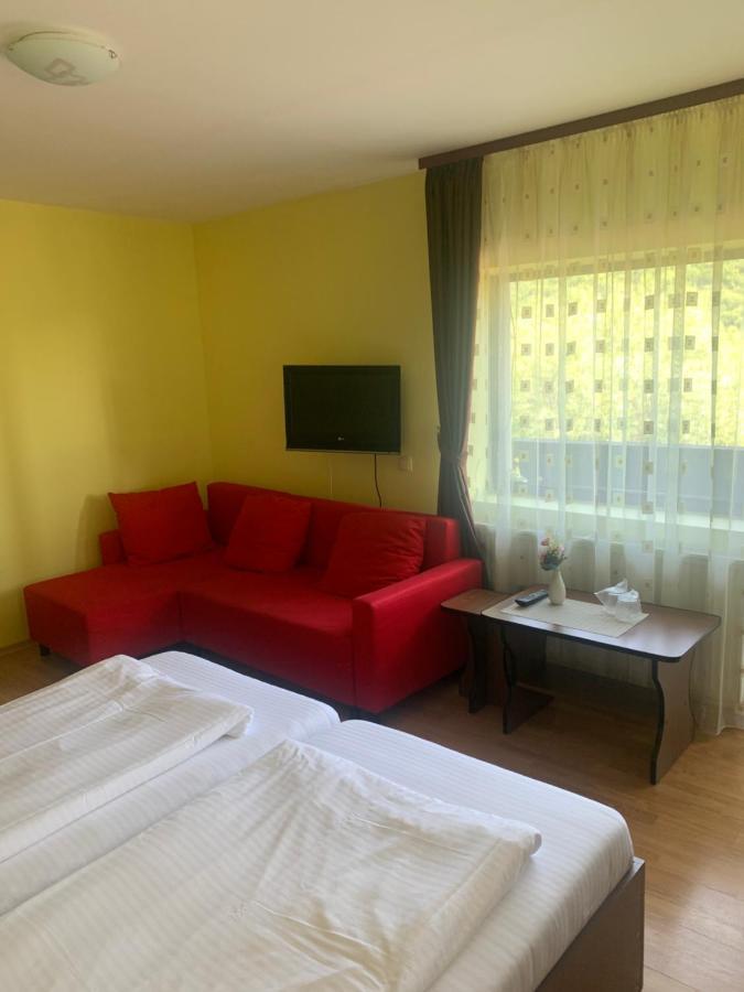 No Comment Rustic Hotel Curtea De Arges Exterior photo